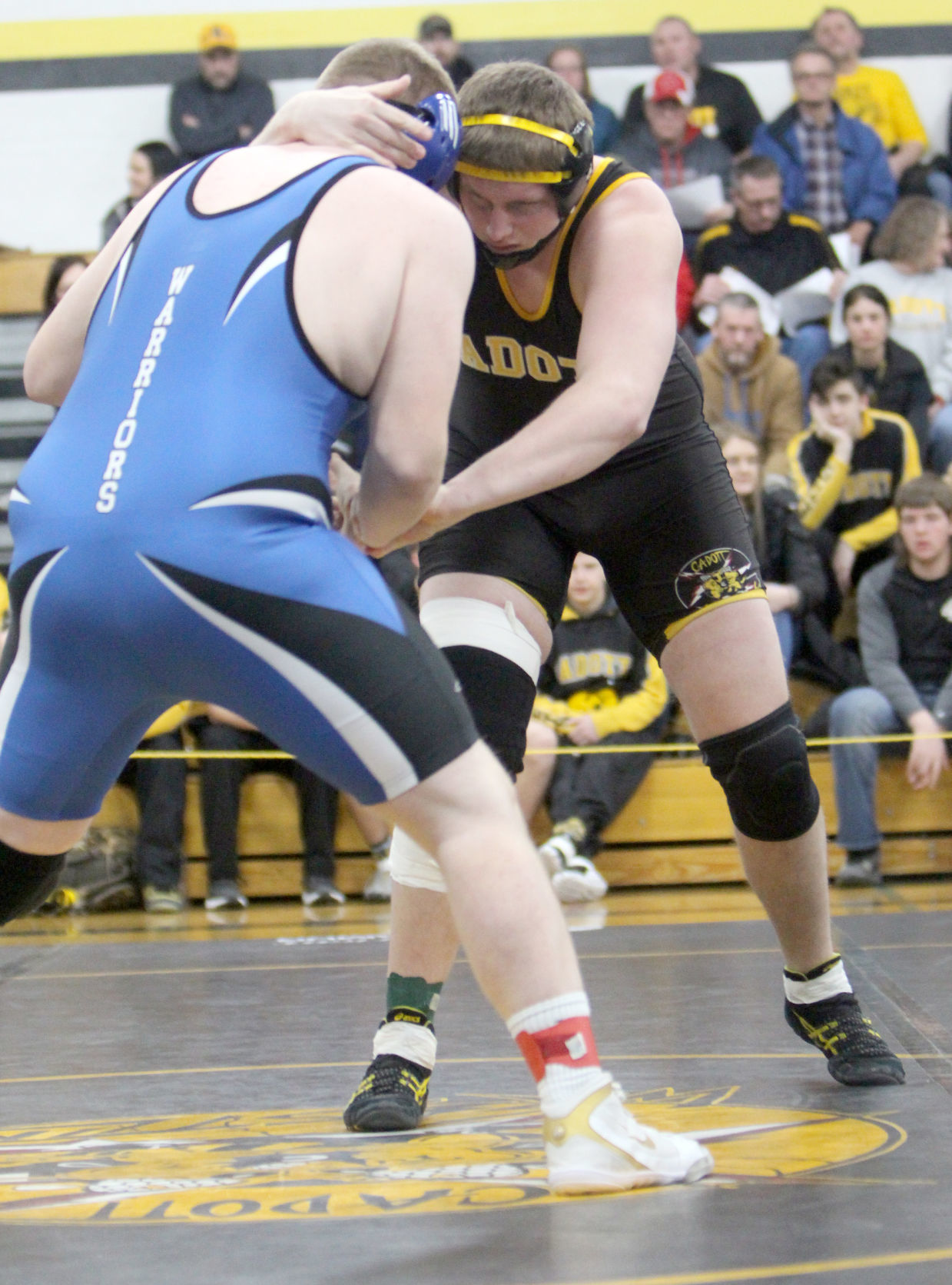 Division 3 wrestling regionals at Cadott 2-9-19